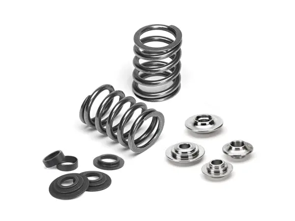 Supertech Valve Spring Kit Bmw S54 1