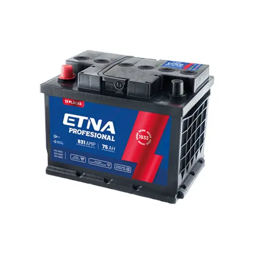 Bateria 13 Placas 12Vc (W-13Z) Etna 1