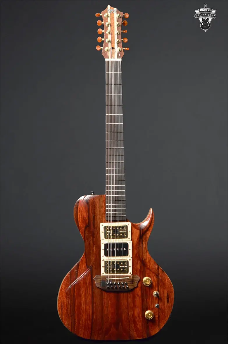 Dineen Raeven 10-String 1