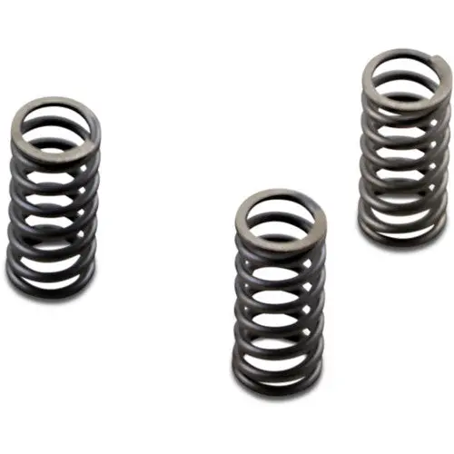 Ebc Heavy Duty Clutch Springs - 2016+ Triumph Twins 900+1200Cc 1