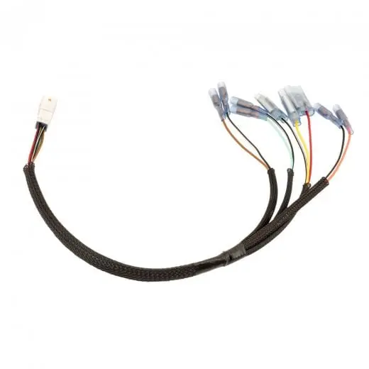 Motone Rear Plug And Play Wiring Harness Adapter - 2021+ Speed Twin 1200 1