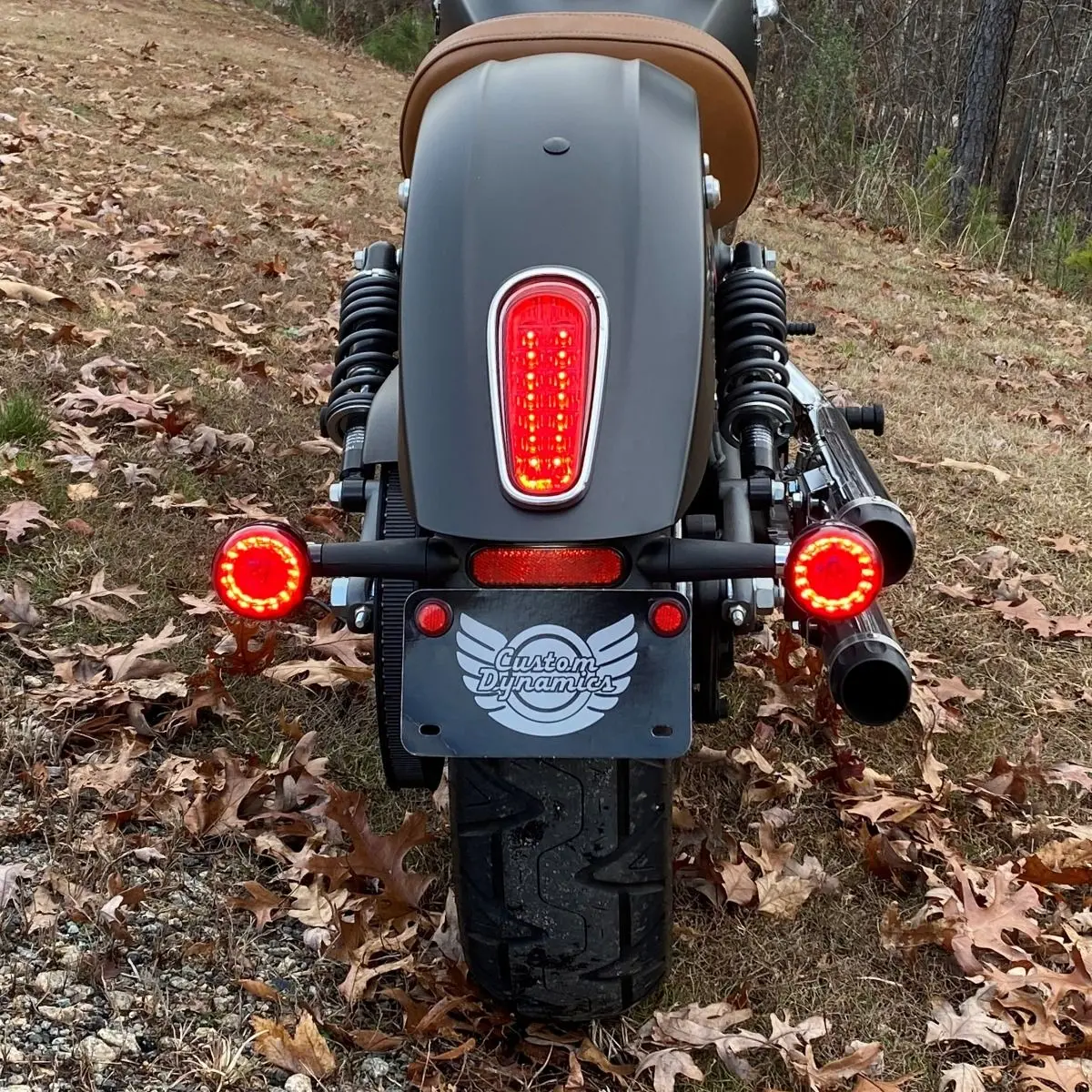 Custom Dynamics Pro-Beam Led Rear Turn Signals - 2015-2024 Indian Scout 1