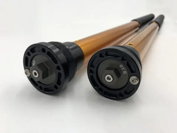 Andreani Misano Rally Race Front Fork Cartridge Kit - Triumph Scrambler 400 X - Stock Length 1
