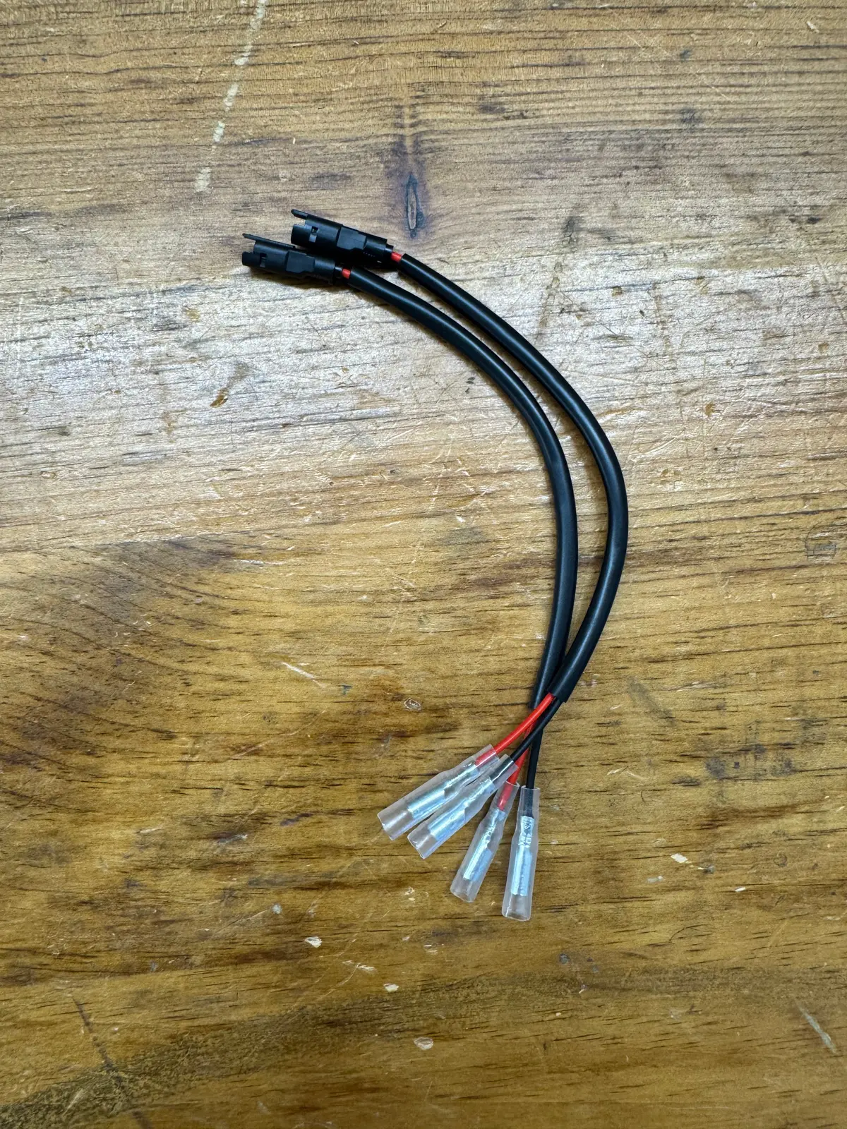 Plug And Play Turn Signal Harnesses - 3.9Mm Bullet Connectors - 2025+ Triumph Speed Twin 1200 / Rs 2