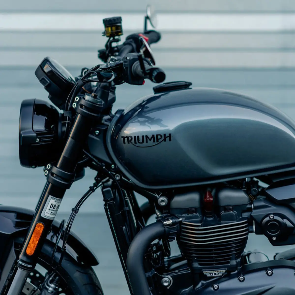 Triumph Black Tank Emblems - Pair 1