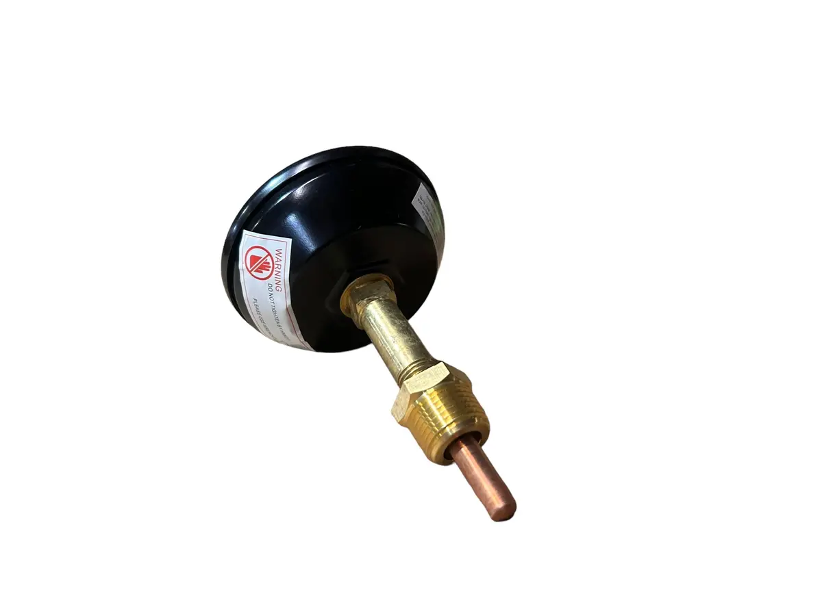 Burnham, #6052919, Wtr Trm, Relief Valve, 11-12, (30#), V9a 2