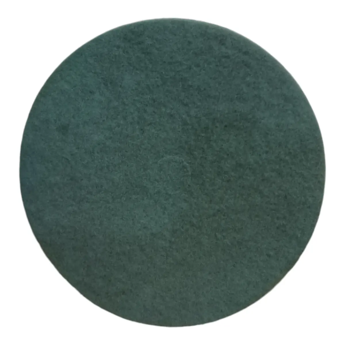 (5Pk) Tough Guy, 402V83, Burnishing Pads, Aqua 1