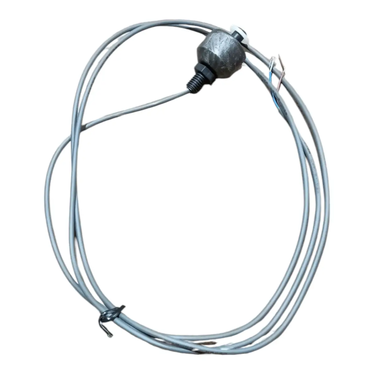 Nilfisk Float Switch Ls01 W/Pur Wire 10V (301001196) 1
