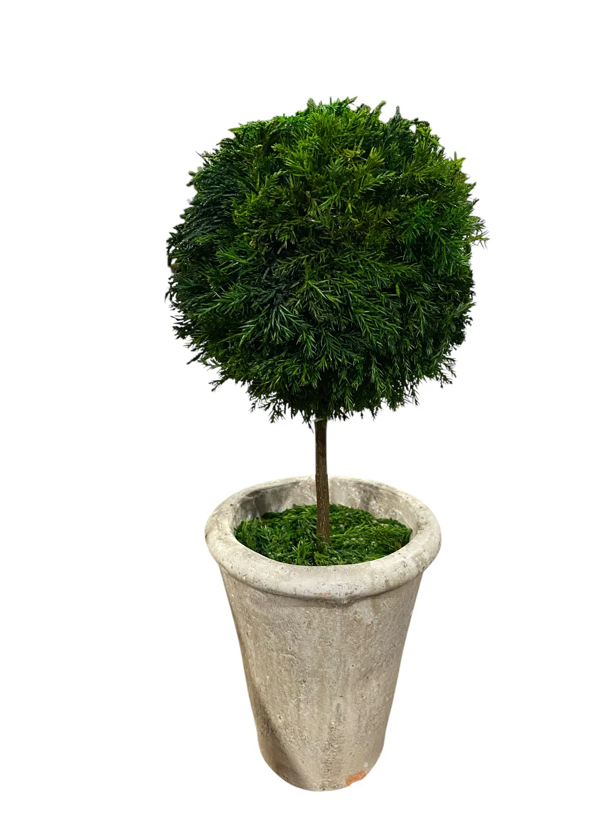 Single, Ball, Topiary 1
