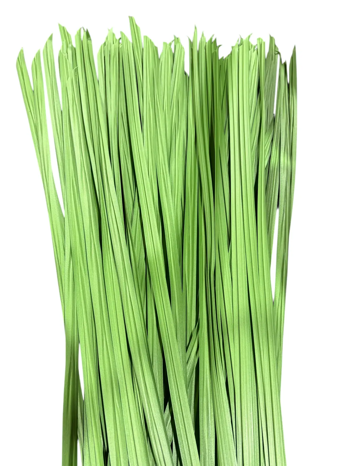 J2 Outdoors, Last Grass Hunting Blind Grass, Early Season Green, 5Lbs 1