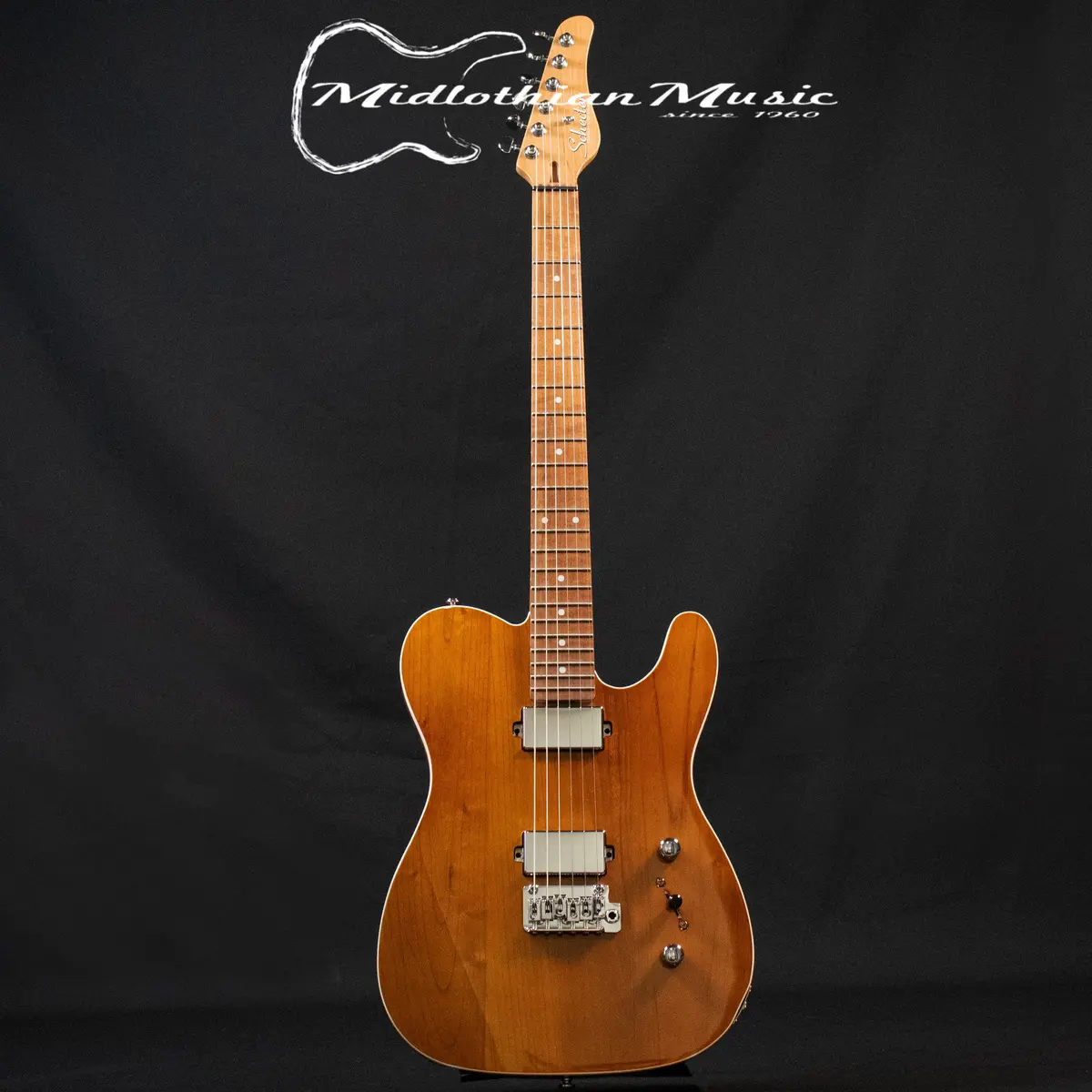 Schecter Pt Van Nuys Electric Guitar - Gloss Natural Ash Finish 1