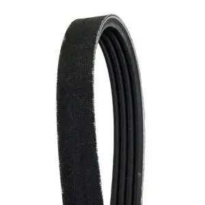 Walker 7248 Drive Belt Replacement | Wa7248 1
