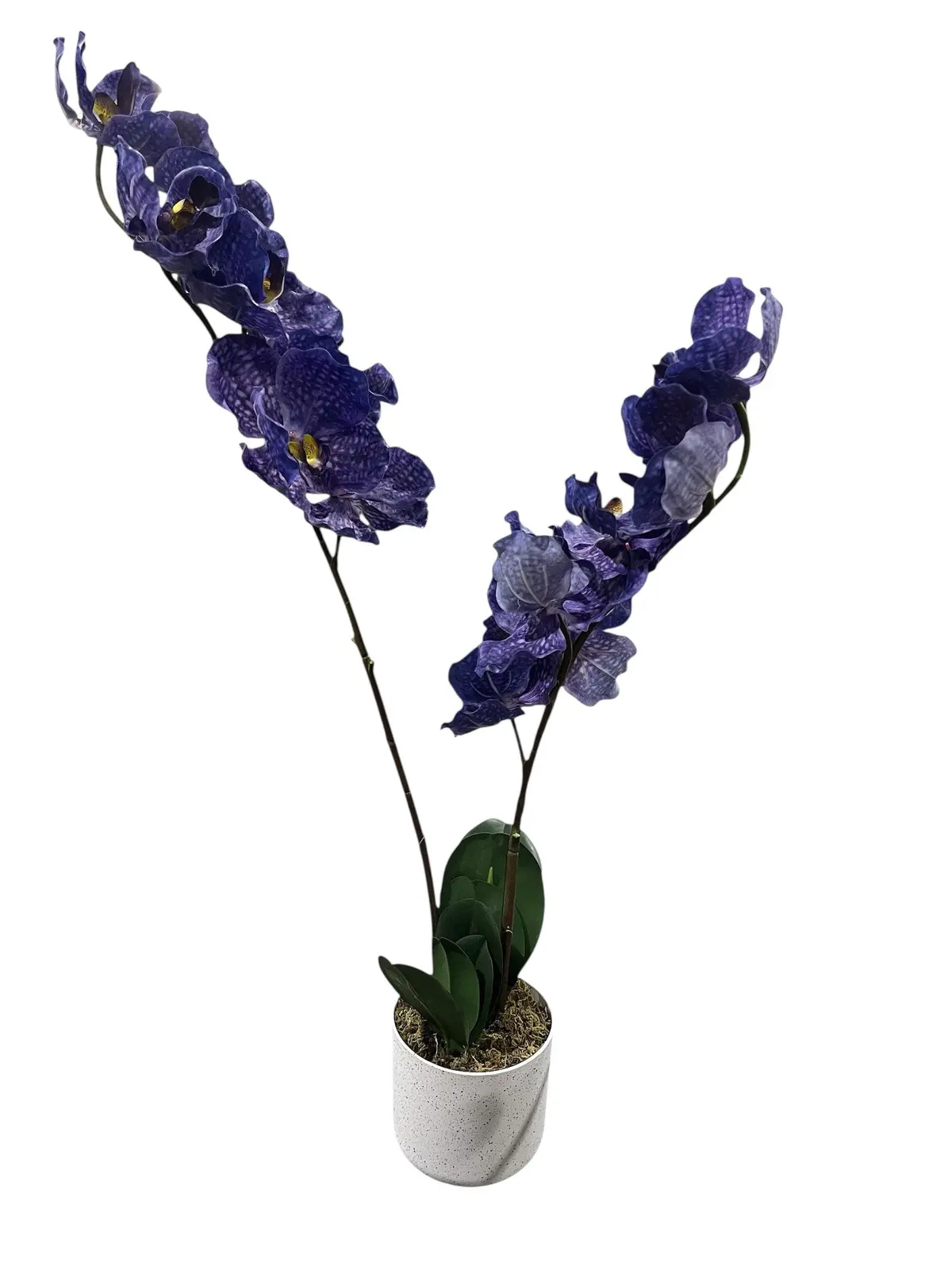 Garvee, Artificial, Orchid Plant, 2.5Ft 1