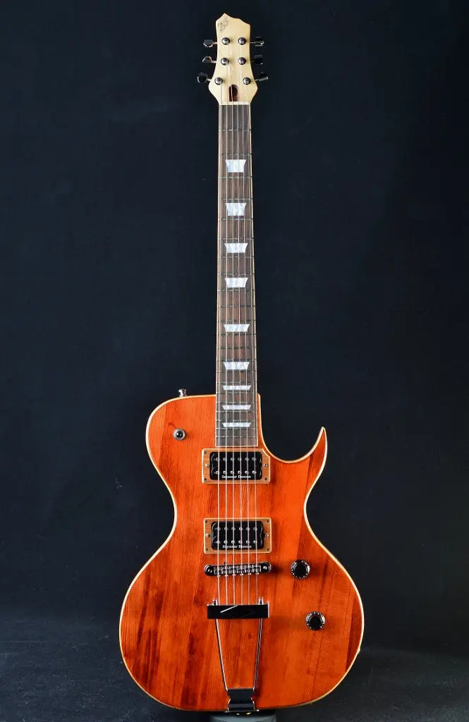 Dineen Raeven Hollowbody - Vintage Amber 1