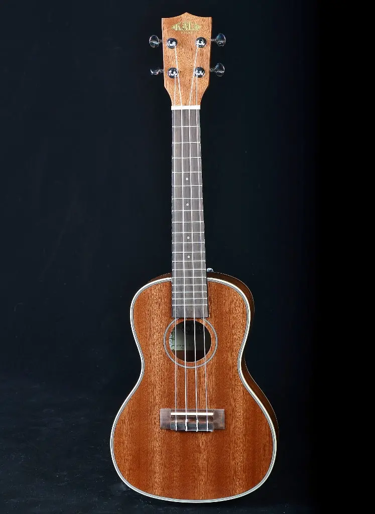 Kala Ka-Cg Gloss Mahogany Concert Ukulele 1