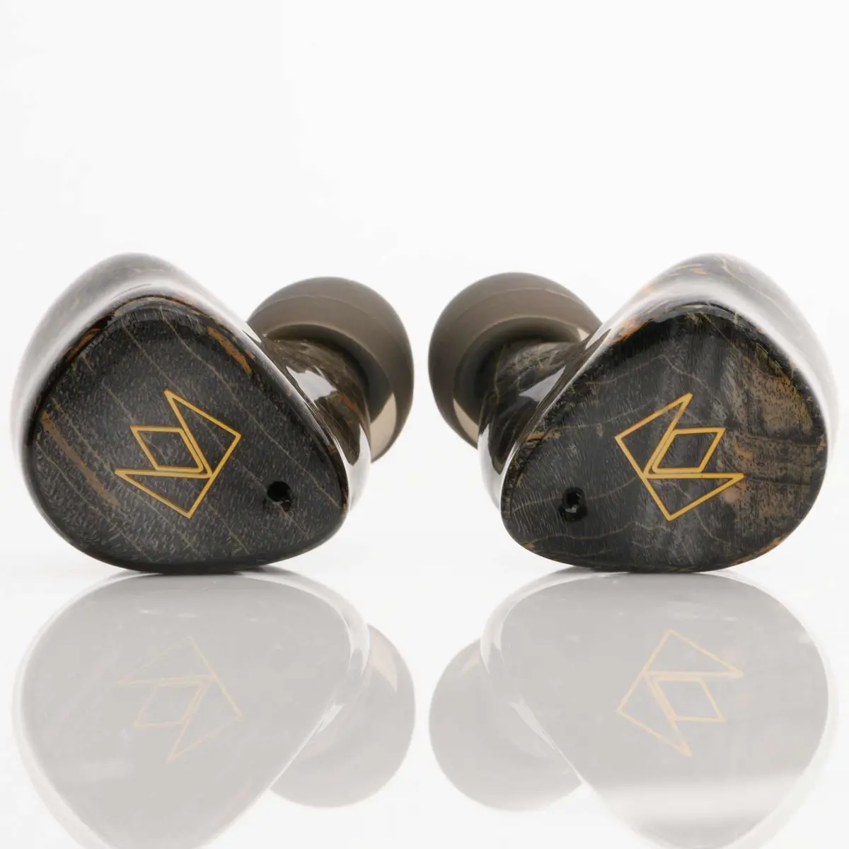 Noble Audio Fokus Prestige Wireless Iem 1