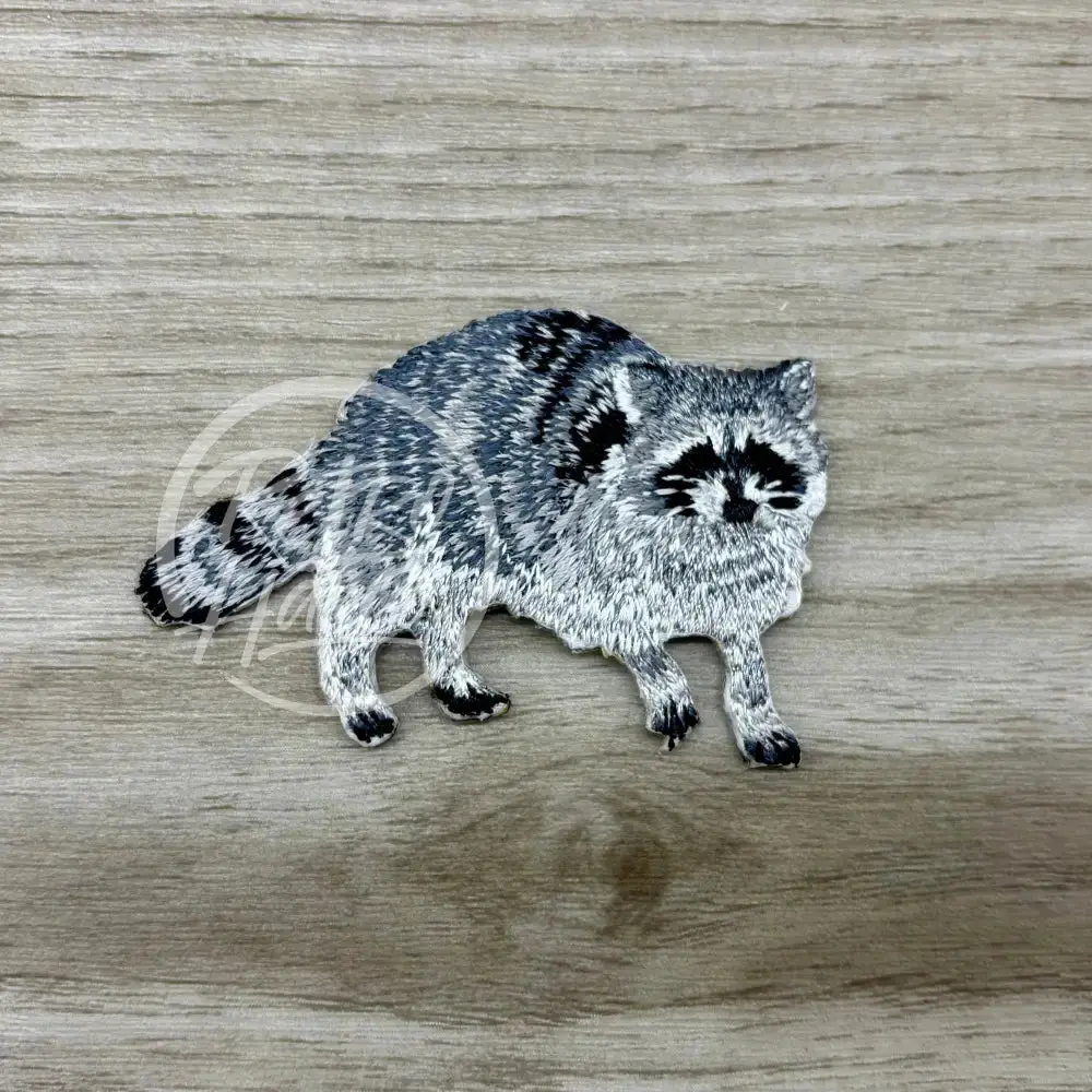 Raccoon / Trash Panda 1