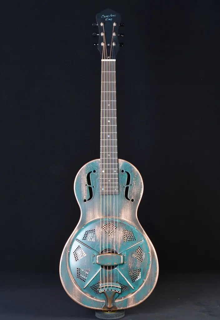 Recording King Rm-993-Vg Style Parlor Swamp Dog Resonator 1