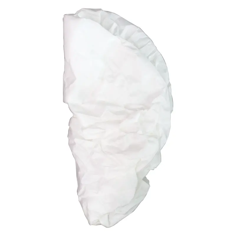 Filter For P475 (2 Pk) 54149 1